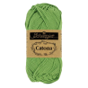 Vert forêt 412 - 50g