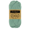 Bleu argenté 528-50g