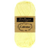 Lumière de bougie 101-50g