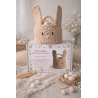 Kit crochet débutant panier de Pâques lapin beige