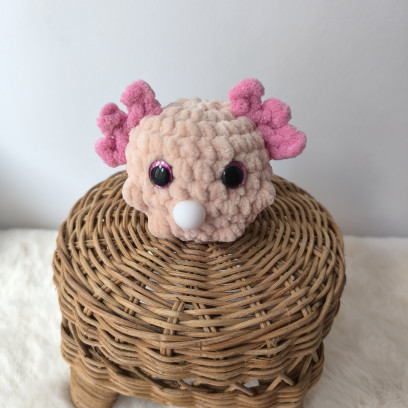 Ami’bulles Axolotl au...