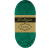 Vert bouteille 98 - 50g