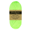 Citron frais 107 - 50g