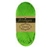 Basilic 117 - 50g