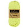Jus de citron vert 392 - 50g